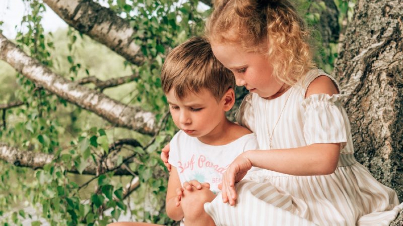 Little sister and brother are sitting on a tree on a summer day.Summer concept.